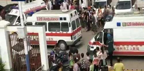 中国首例严重暴力犯罪者被执行死刑案尘埃落定