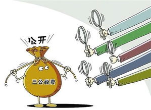 推动党政机关过紧日子的路径与成效分析