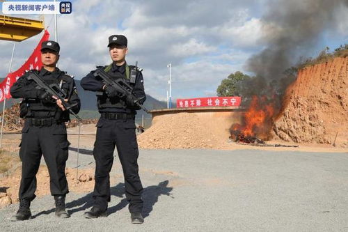 公安部，对涉枪涉爆等犯罪做到打源头