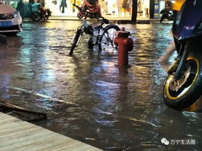 武汉暴雨，街头景象震撼人心的瞬间