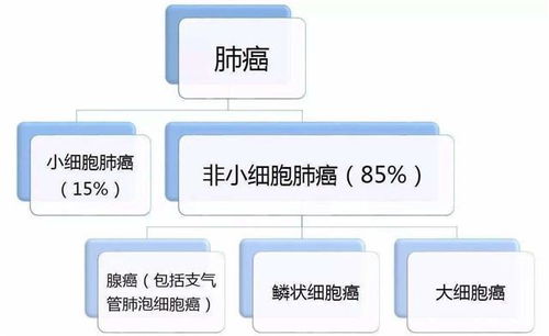 癌症患者经历的四个关键阶段 癌症患者经历的四个关键阶段