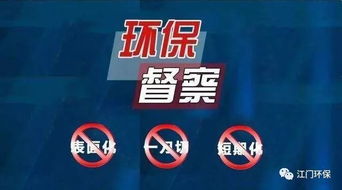 中央环保督察组，严禁一刀切