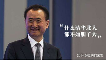 王健林的债务问题，一个复杂且多面的故事