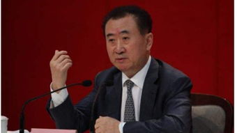 王健林被冻结的4.9亿股，一场商业与法律的较量