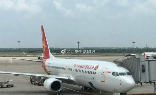 女子携20寸行李箱登机被指超标，航空公司的规则与乘客的困惑