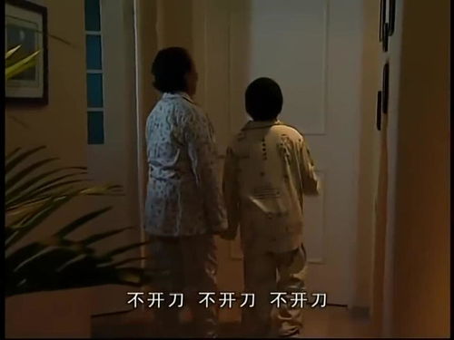 家有儿女中的姥姥、爸爸和小雨的奇妙组合
