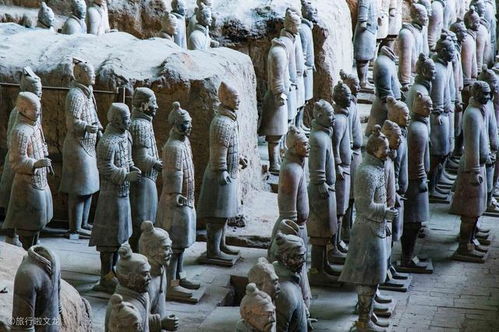 西安文旅局调查男子坠入秦始皇陵兵马俑坑