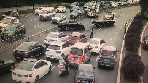 成都辟谣，公路边停车位并非免费！真相大白