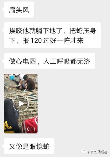 官方通报三亚女游客疑被蛇咬伤身亡，警方已介入调查