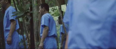 蛇咬事件中的生死奇迹—男子被蛇咬昏迷后医生的英勇救援