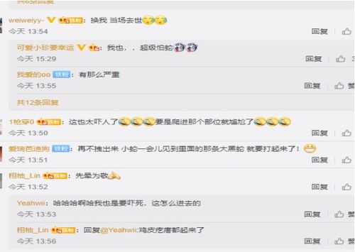 被毒蛇咬伤后的急救措施与自我应对指南