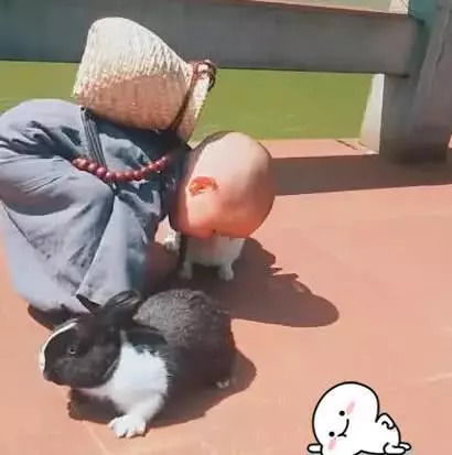 萌娃上幼儿园背着大书包一步一回头