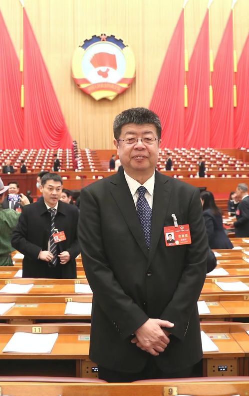 北京大学教授张颐武对今年高考作文题的深度评析