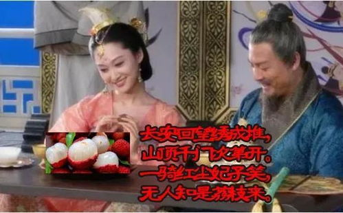 杨贵妃吃荔枝到底是什么地方产的？