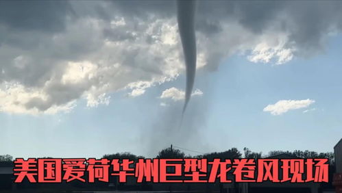蝴蝶变成光头台风