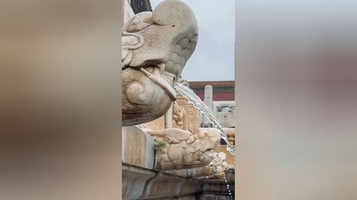 故宫再现千龙吐水的壮观景象