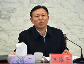 武汉市政府原副秘书长周大鸿被双开，反腐风暴下的重要人物落马