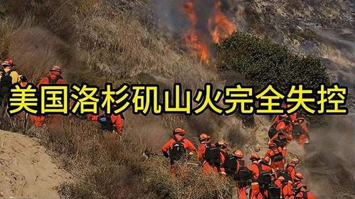 洛杉矶的失控之谜