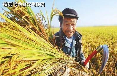 让丰收在望变成丰收到手—构建可持续发展的现代农业